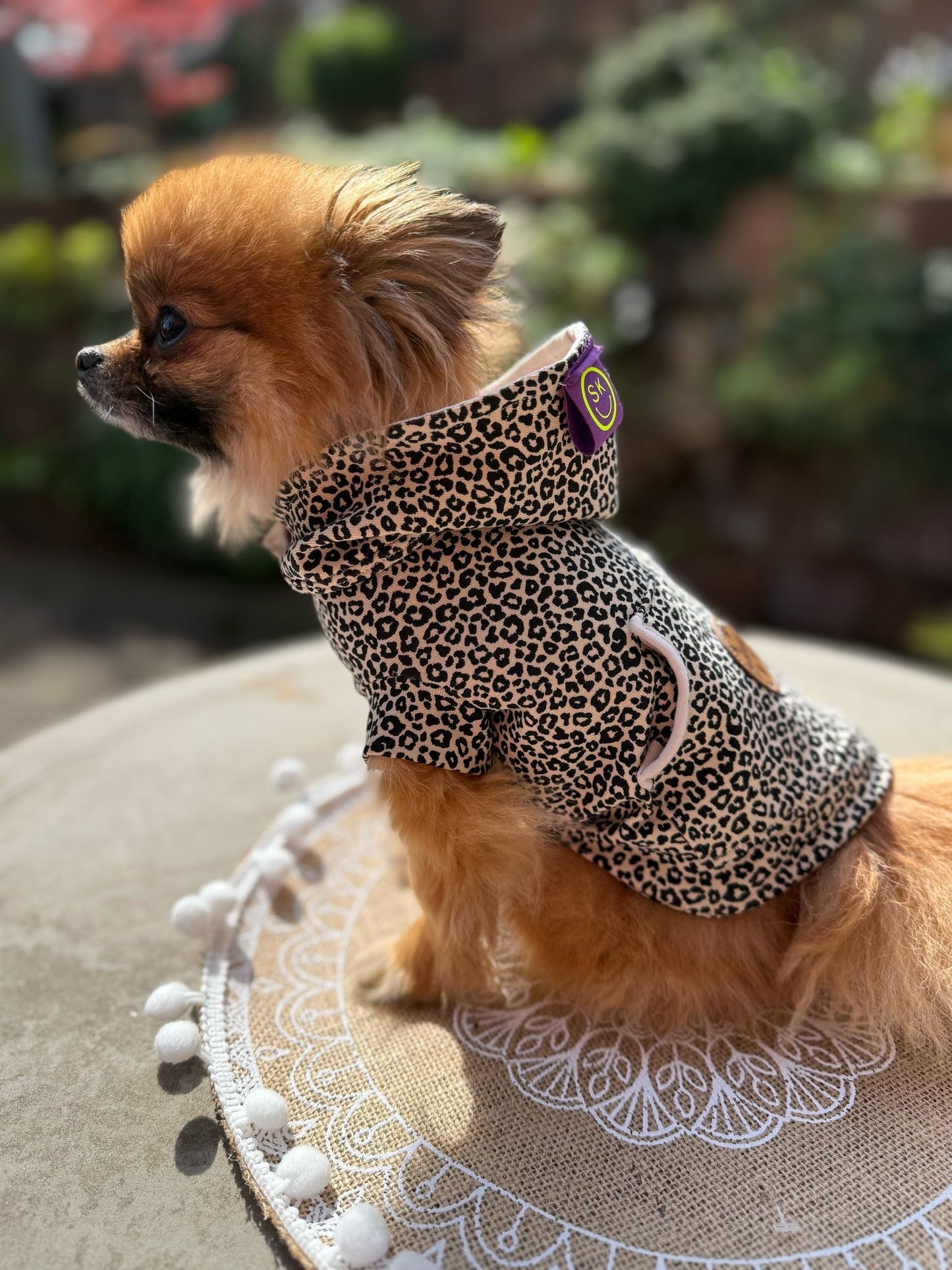 Hunde Hoodie
