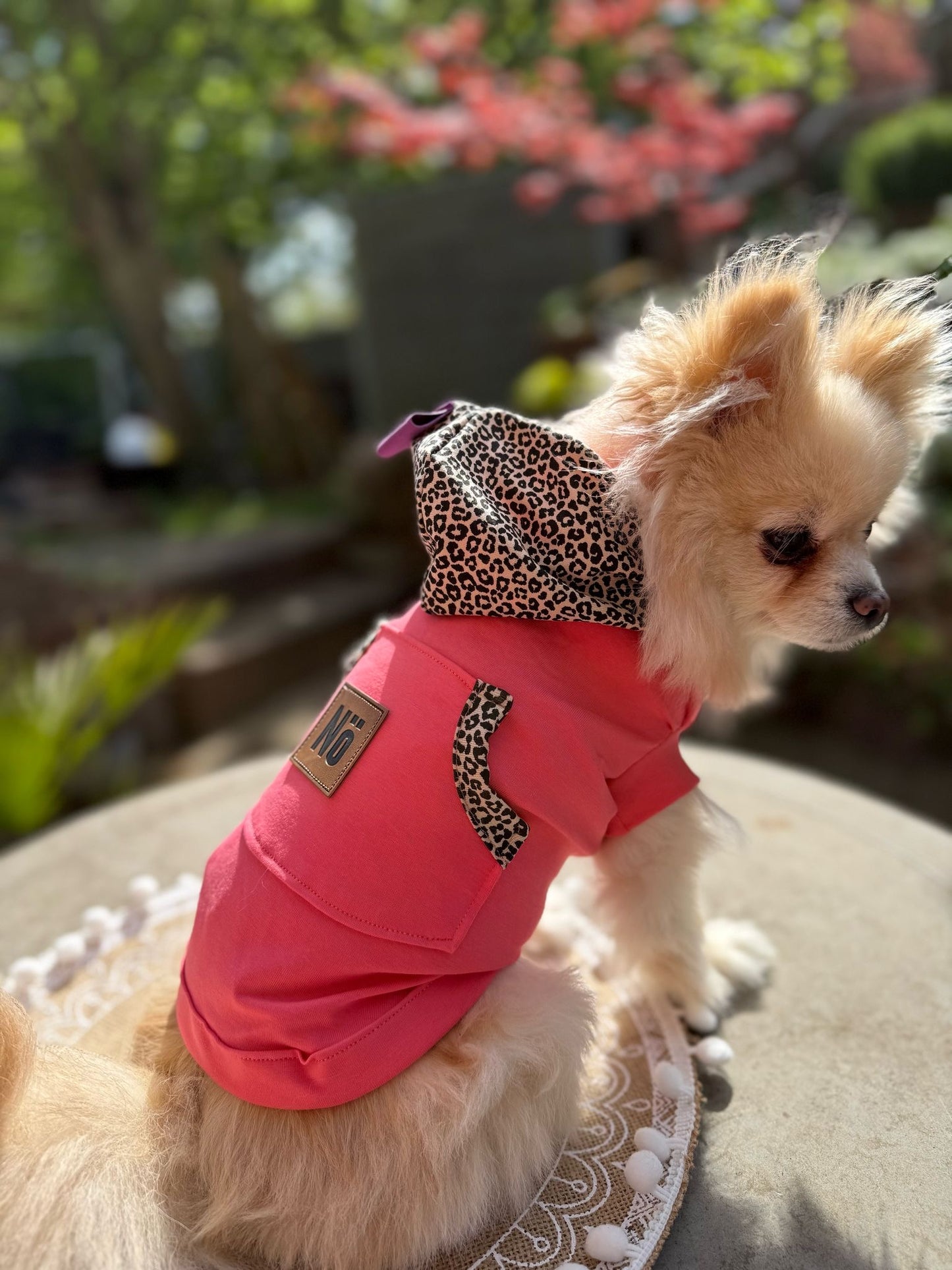 Hunde Hoodie