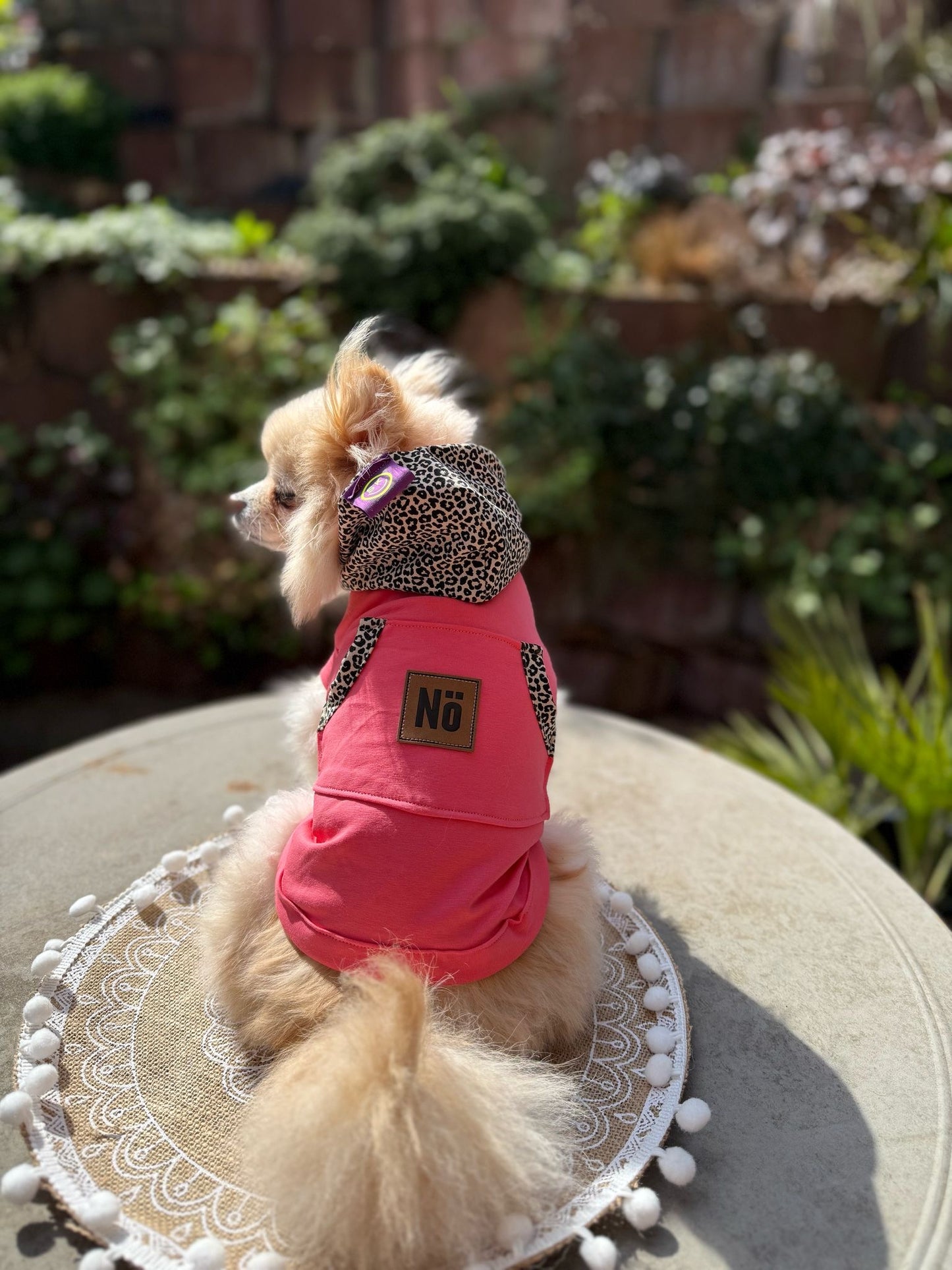 Hunde Hoodie